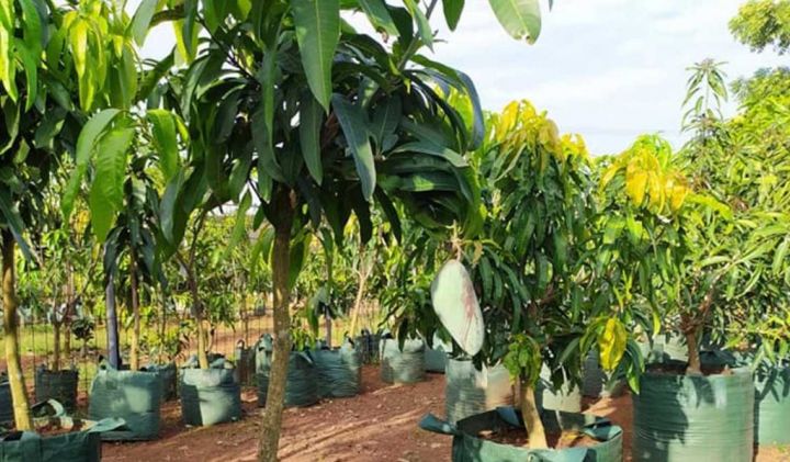 Potensi dalam Agrowisata